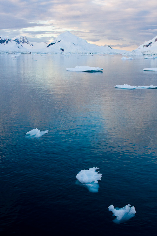 Icebergs And Mountains